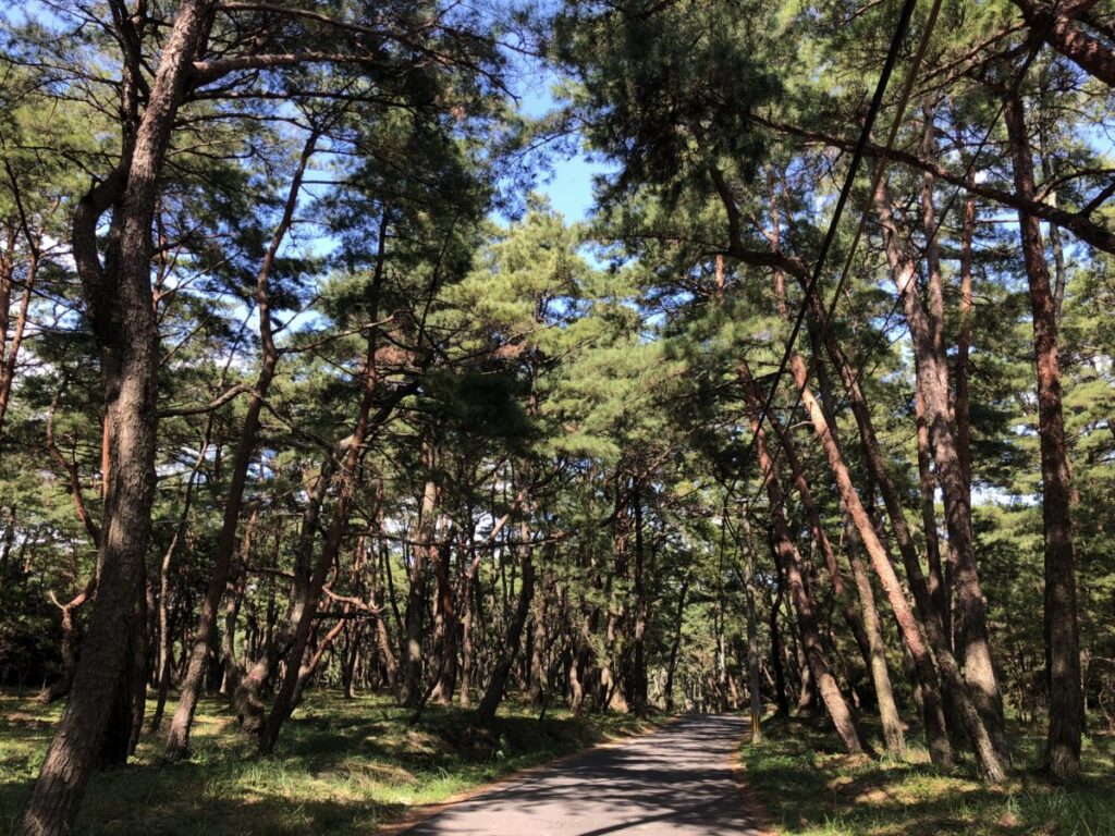 TAS佐賀日帰りツアー